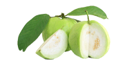 Guava