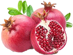 Pomegranate